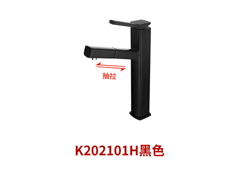 K202101H黑
