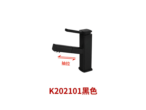 K202101黑