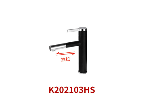 K202103HS