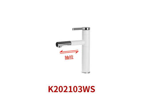 K202103WS