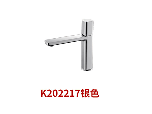 K202021银